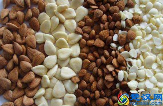孕妇到底能不能吃杏仁？看了这个你就明白了，赶紧告诉老婆吧