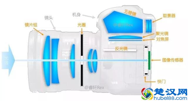 单反单反，到底什么是单反？