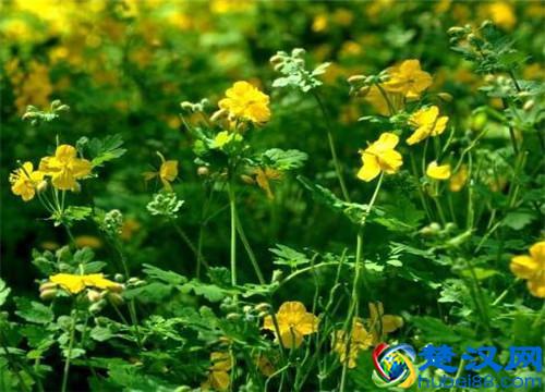 2019年个人创业干点啥好呢？（推荐这四大行业）