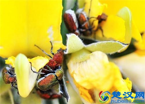 2019年个人创业干点啥好呢？（推荐这四大行业）