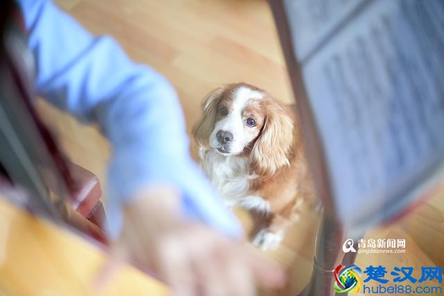 90后竖琴女孩 时薪5000元秒杀白领