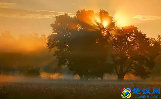 员工服务意识培训：提升员工服务意识的方法有哪些？