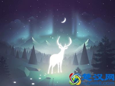 无聊的时候，不妨做做这些事，你的人生会变得越来越好