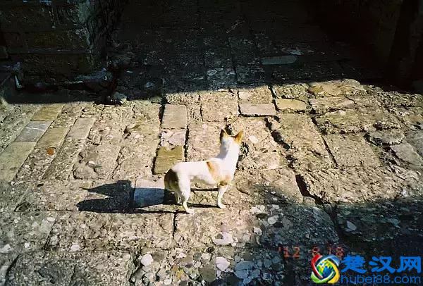 王尔德说：人生只有两种悲剧