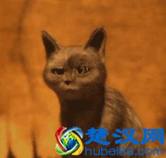 什么是杀马特？你应该先知道罗福兴！