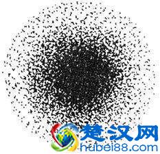 为什么会存在二八法则？