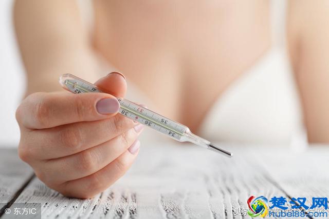 来例假后的几天才算是排卵期？教你3招快速识别排卵期