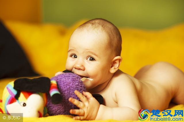 一岁半宝宝食谱大全 宝宝吃什么比较好