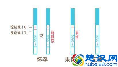 早孕试纸怎么使用？如何准确判断？