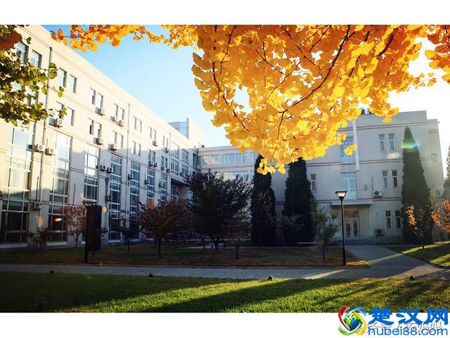 北京石油化工学院简介