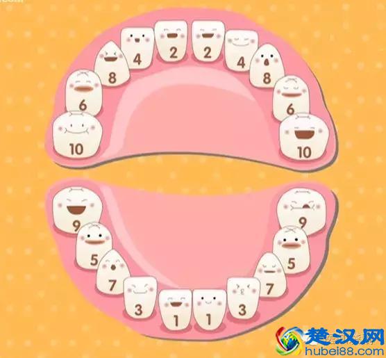 宝宝几个月长牙算正常？口腔专家给出了标准答案