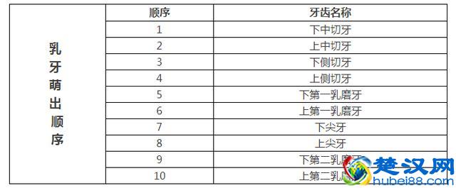 宝宝几个月长牙算正常？口腔专家给出了标准答案