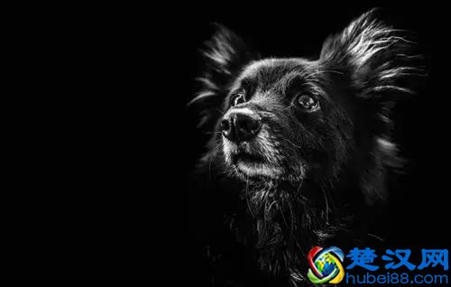 人生第一课，不再过度关注别人的看法，不再轻易的自我否定