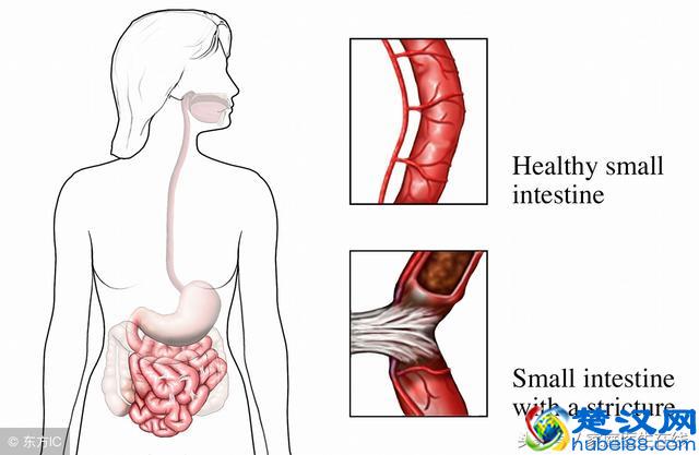 多吃葡萄干，对人体的好处有哪些？营养师直接揭晓答案