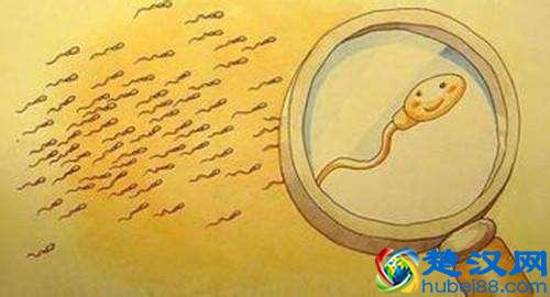 精液“黄”了，他慌了！男人的“小蝌蚪”什么颜色才正常？