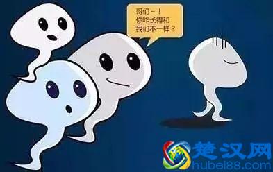 想备孕生男孩的一定要做到这三点！