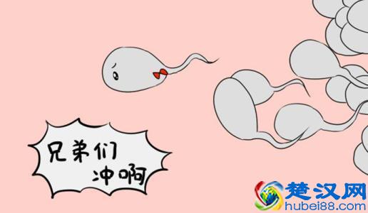 想备孕生男孩的一定要做到这三点！