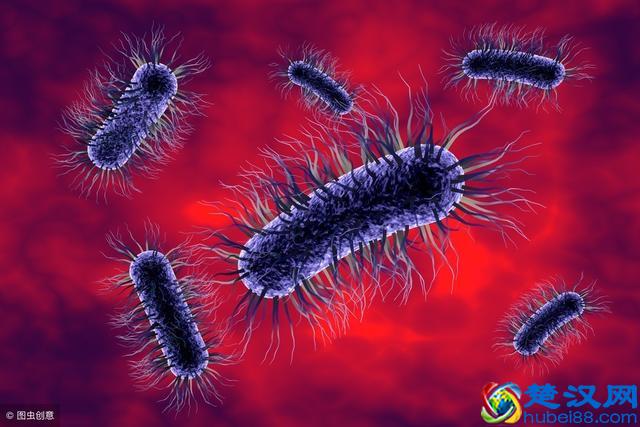 经常性胀气放屁？可能是身体出问题！