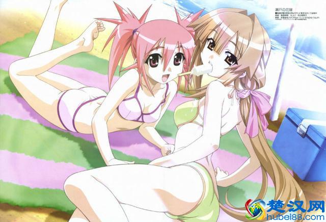 什么！不知道二次元是什么意思？快点进来看看