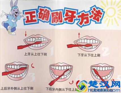 世界卫生日 教你最正确的刷牙方法