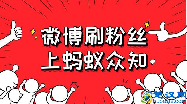 独家干货分享，新浪微博如何快速增涨粉丝！