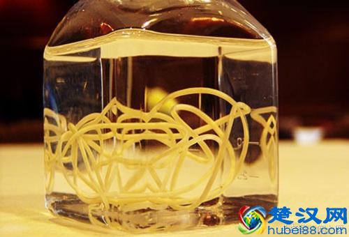 注意,这些寄生虫可能在你的身上,你却不知道!