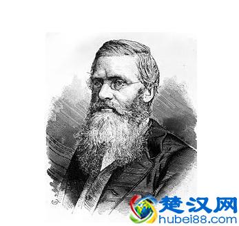 雄孔雀的尾巴完全称不上有效率，反而更像一种累赘