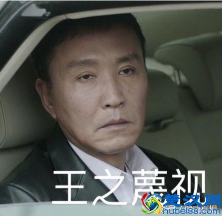 胎盘，中药里叫紫河车，真实的功效是这样的