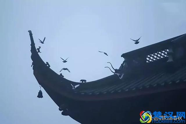 物以类聚，人以群分