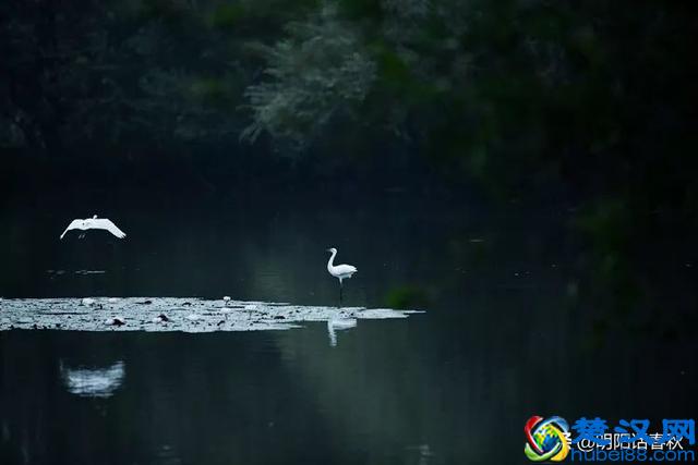 物以类聚，人以群分