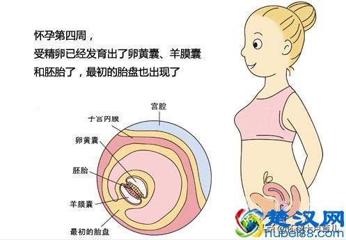 怀孕1个月的症状，孕妈需注意这些重要事项，有利于胎儿健康发育