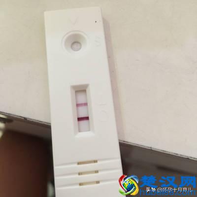 怀孕1个月的症状，孕妈需注意这些重要事项，有利于胎儿健康发育