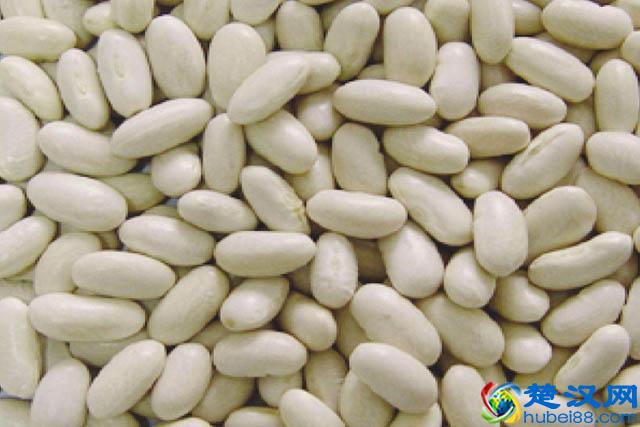 什么是碳水化合物？含高碳水化合物的食物有哪些