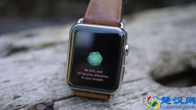 最受欢迎的10大手表品牌，哪一款是你的心头好？