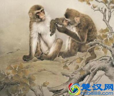 一生平步青云，钱财不断涌入的三大生肖