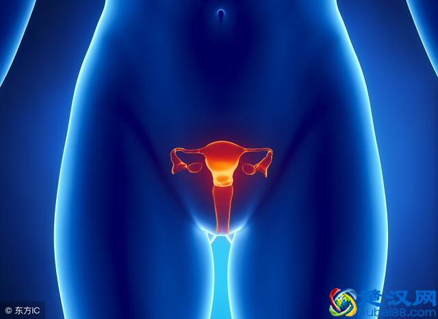 什么是霉菌性阴道炎？霉菌性阴道炎该如何治疗？