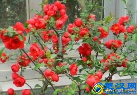 道听途说的故事，说给你听