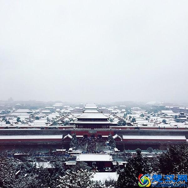 【 约会指南 】情人节该怎么过？史上最强！约会全集！脱单指南