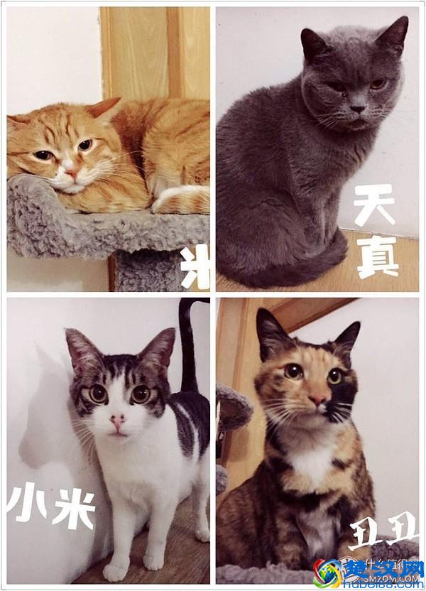 【 约会指南 】情人节该怎么过？史上最强！约会全集！脱单指南