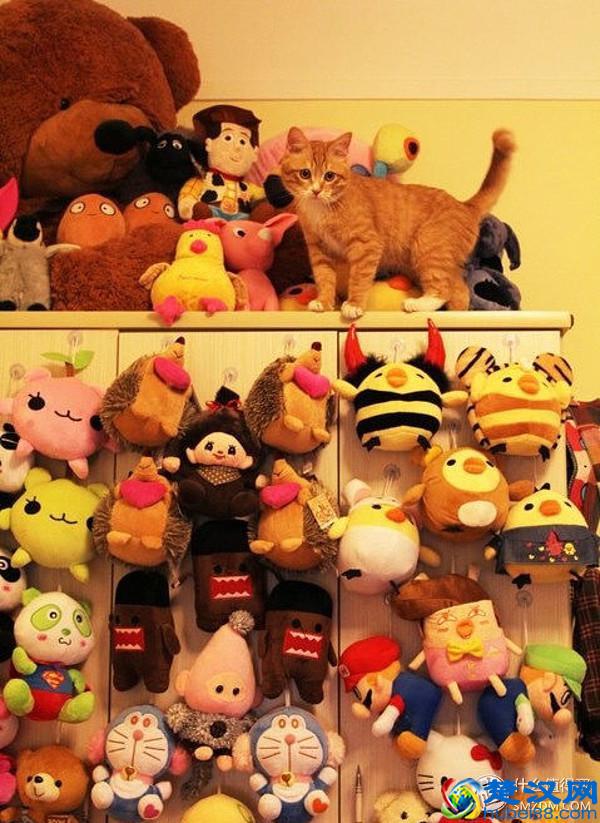 【 约会指南 】情人节该怎么过？史上最强！约会全集！脱单指南