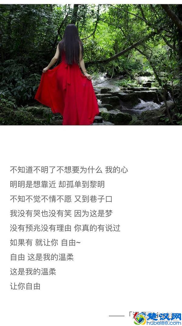 【 约会指南 】情人节该怎么过？史上最强！约会全集！脱单指南