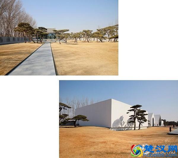 【 约会指南 】情人节该怎么过？史上最强！约会全集！脱单指南