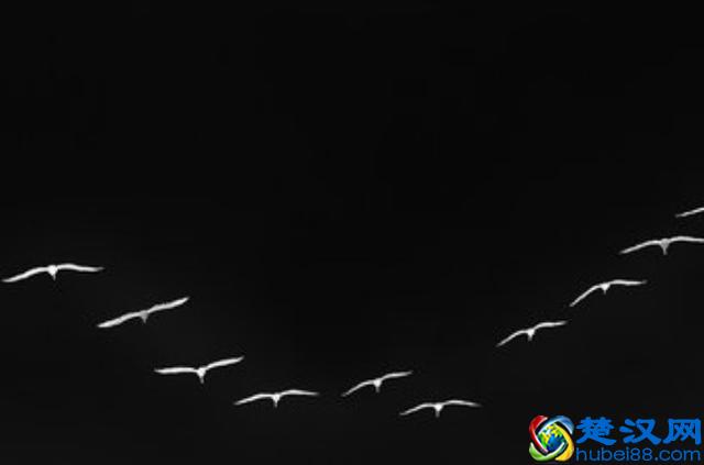 死刑和死缓有什么区别吗？死缓限制减刑的适用条件有哪些？