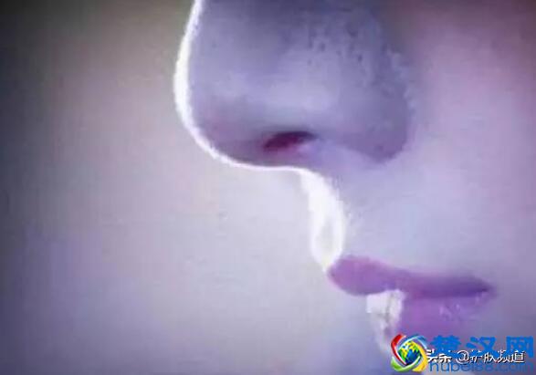 去黑头产品排行榜 这几款简直就是去黑头神器啊