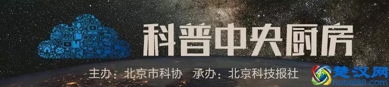 “人肉搜索”频频引发恶性事件，它到底是如何找人的？如何自保？