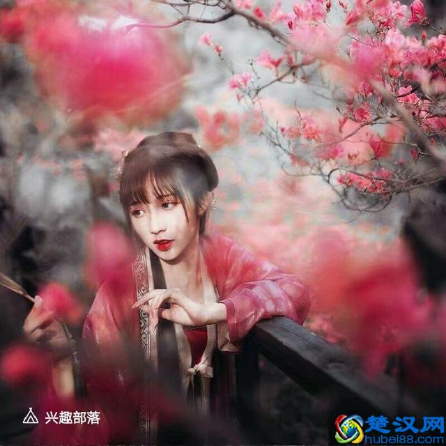 惊鸿一瞥，瞥见了一生的可遇而不可求