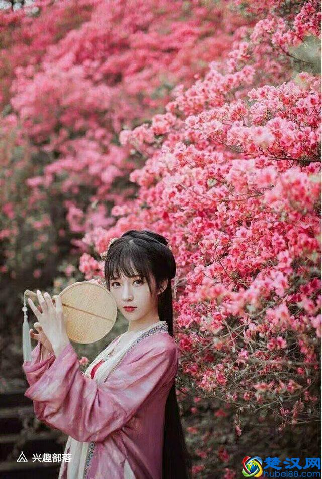 惊鸿一瞥，瞥见了一生的可遇而不可求