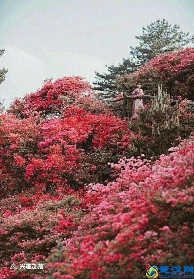 惊鸿一瞥，瞥见了一生的可遇而不可求