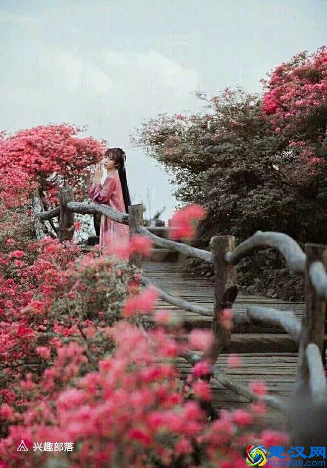 惊鸿一瞥，瞥见了一生的可遇而不可求