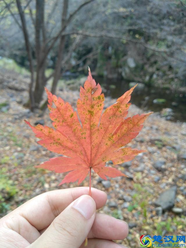 车险保什么险种最具性价比？